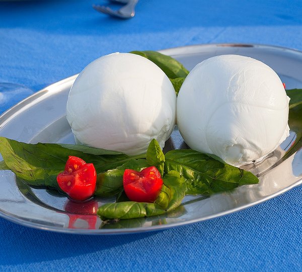 The 20m Yacht MYOSOTIS