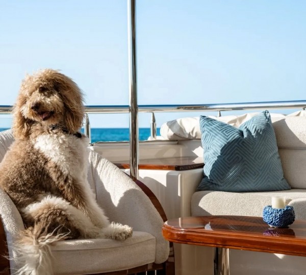 Exterior Relaxation Area