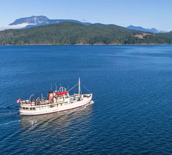 PACIFIC YELLOWFIN - Aerial view