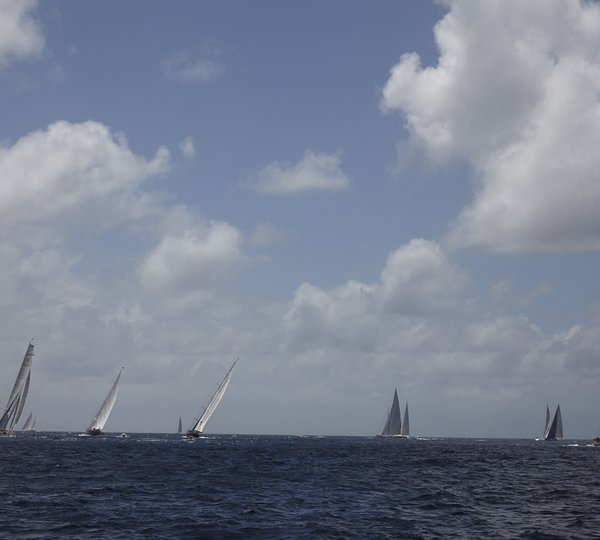 Charter Seahawk For The Best Regatta Events