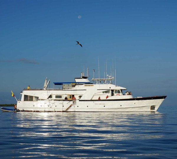 Ecuador Galapagos Wildlife 
