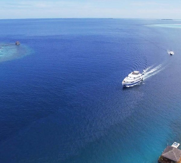 Honors Legacy Profile  