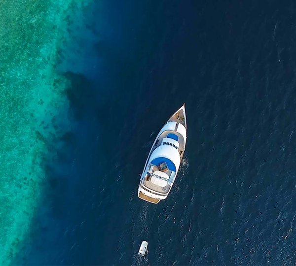 Honors Legacy Aerial 