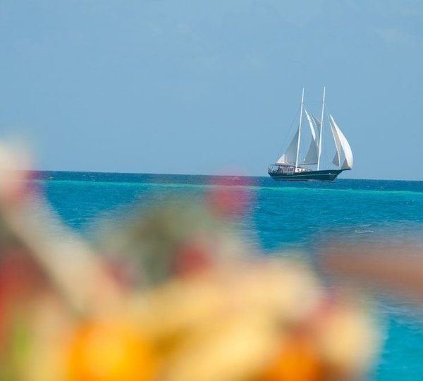 The 29m Yacht DREAM VOYAGER