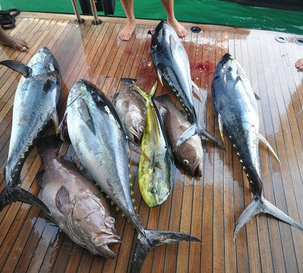 Catch On Board Yacht NOBLE HOUSE