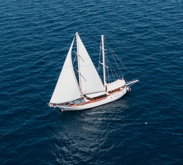 Beyaz Lale Aerial View