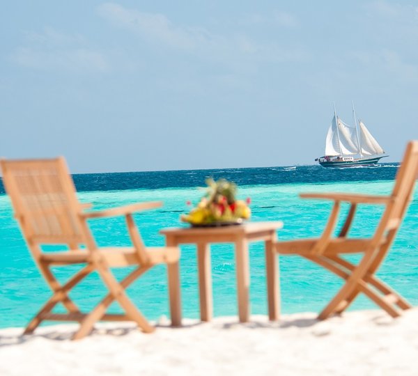 DREAM VOYAGER Background