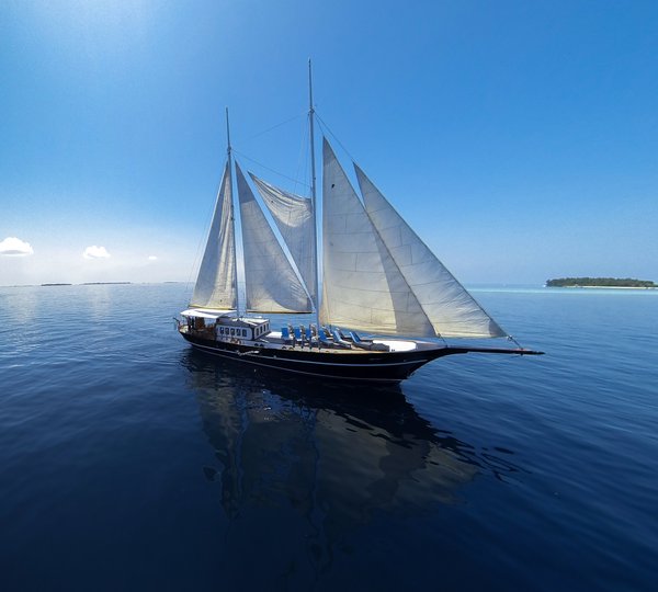 DREAM VOYAGER Exterior