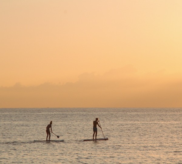 Paddle Board