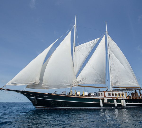 SY Dream Voyager Sailing