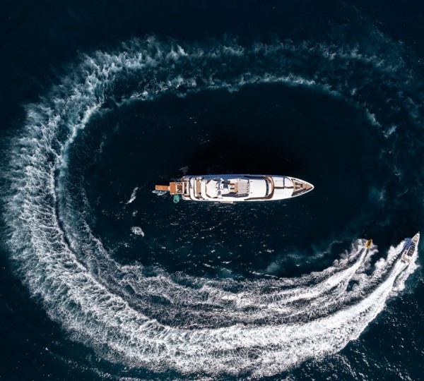 Birdseye Action Doughnut