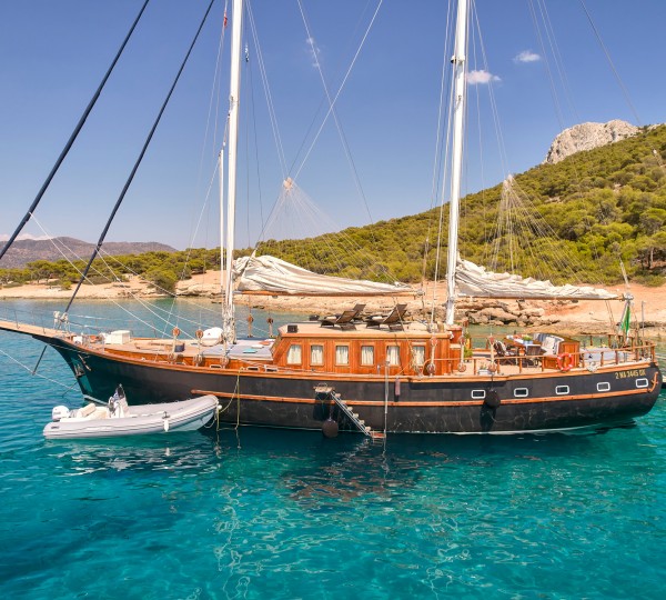 Profile With A Tender