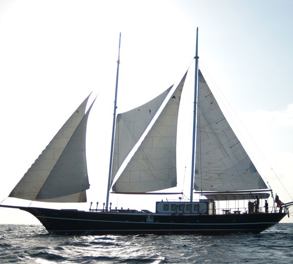 Sailing Dream Voyager