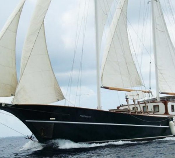 Sy Dream Voyager Exterior