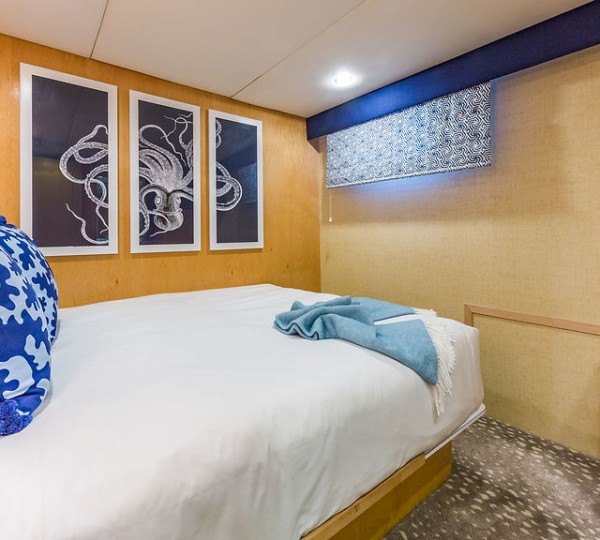 ALEXANDRA JANE Interior - Guest Cabin