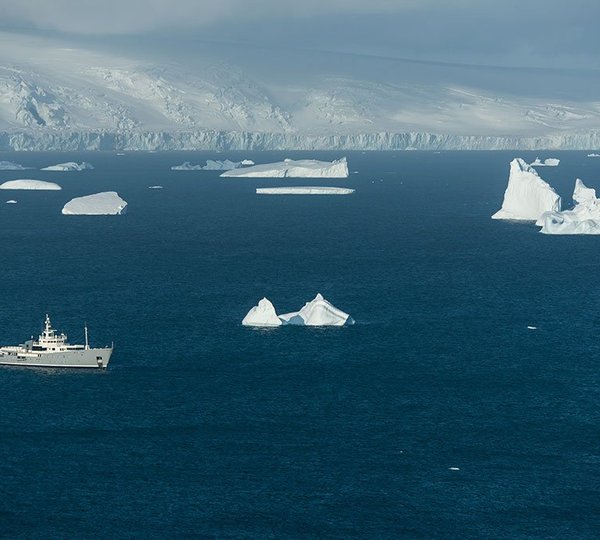 Expedition Charters In The Antarctica