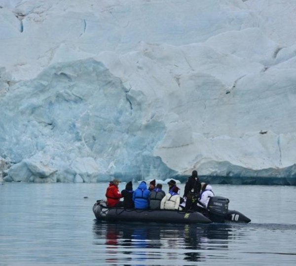 Expedition Charters In The Antarctica