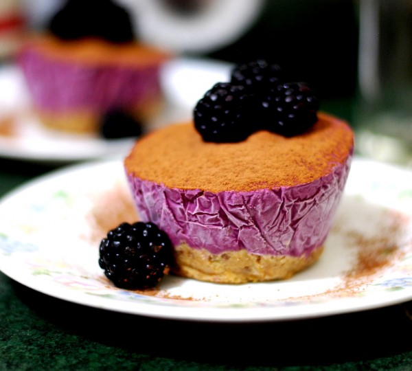 Frozen Vegan Blueberry Cheesecake