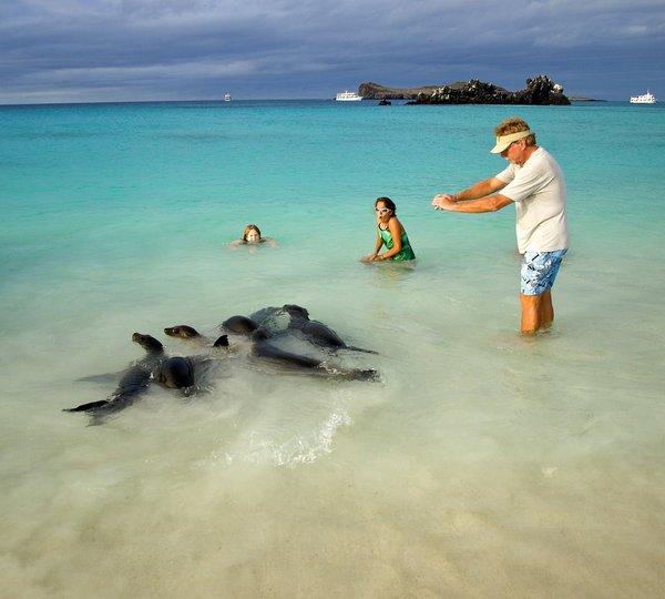 Galapagos Sea Star Journey Guests Children Getting Close To Playful Seals