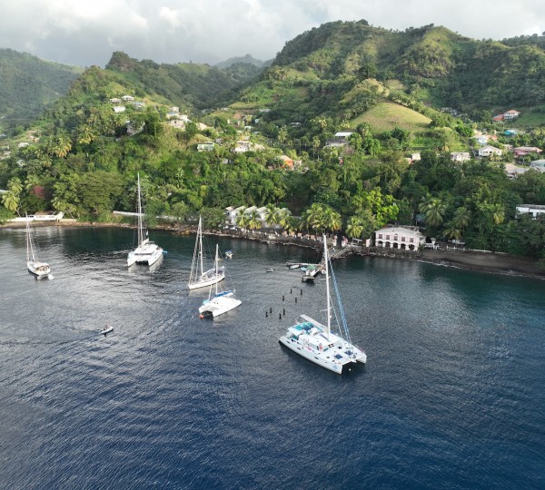 LIR Cat In The Caribbean