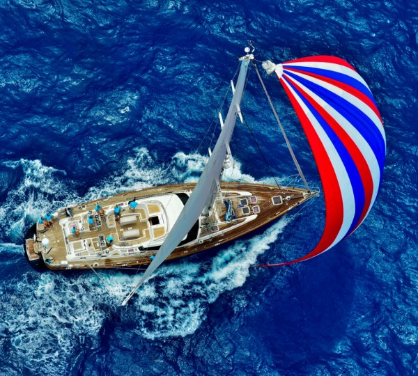 Profile Dama de Noche