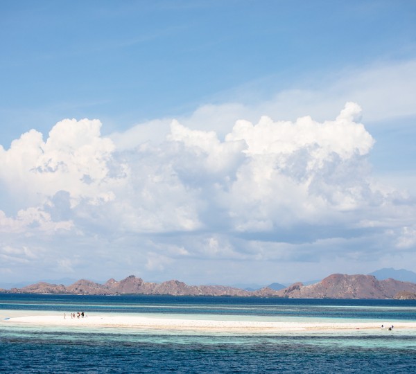 Sandbar (Takamakasar) Komodo