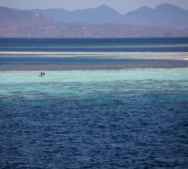 Sandbar (Takamakasar) Komodo