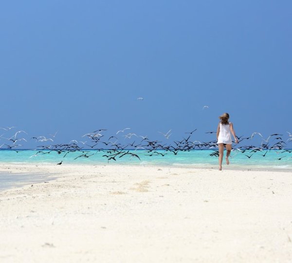 Yacht Charter Vacation