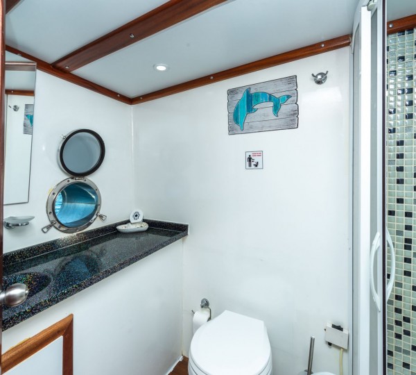 Double Guest Cabin Bathroom