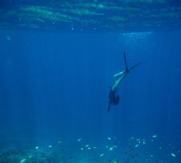 Free Diving In Indonesia