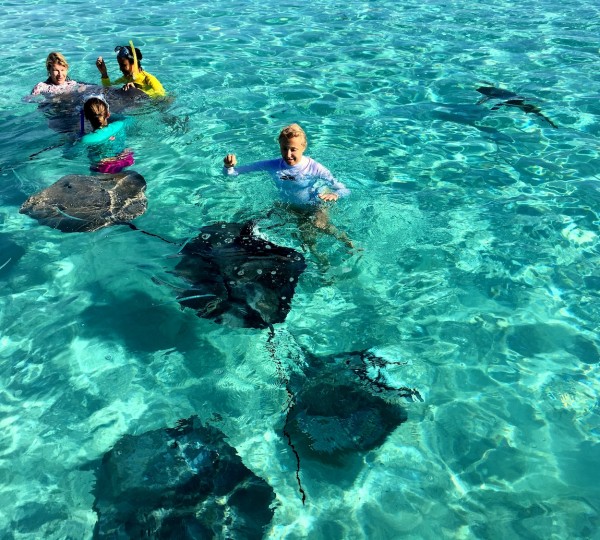 Fun Activities Furing Your Vacation