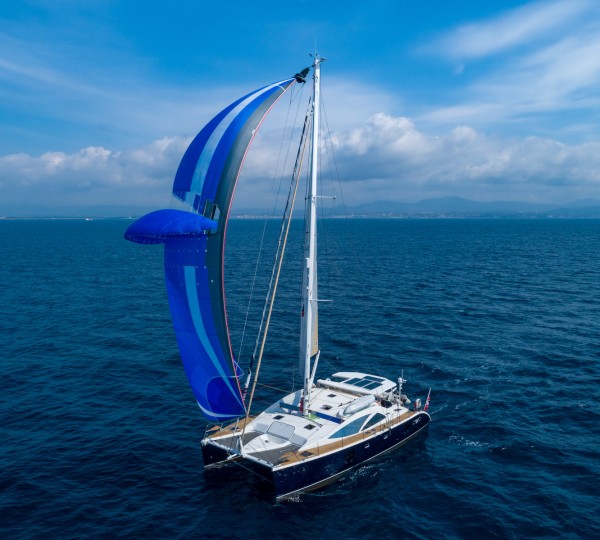 Luxury Cat CURANTA CRIDHE