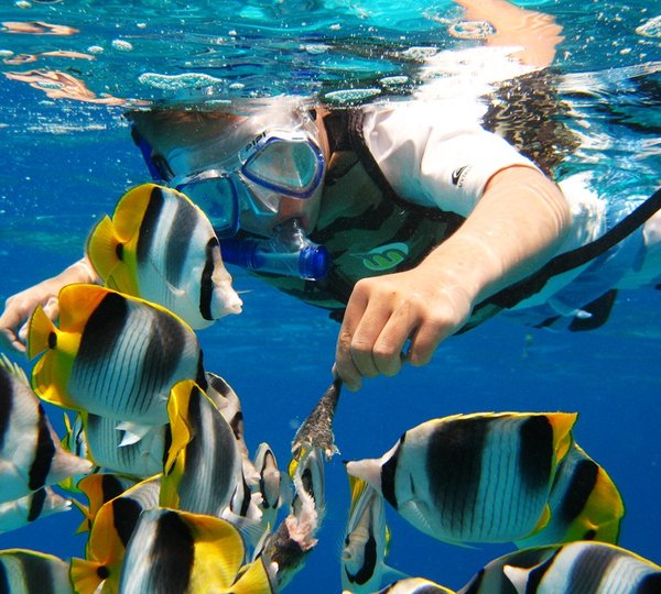 BEYOND CAPRICORN Amazing Locations