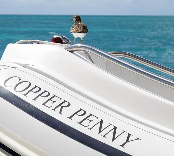 COPPER PENNY - Tender