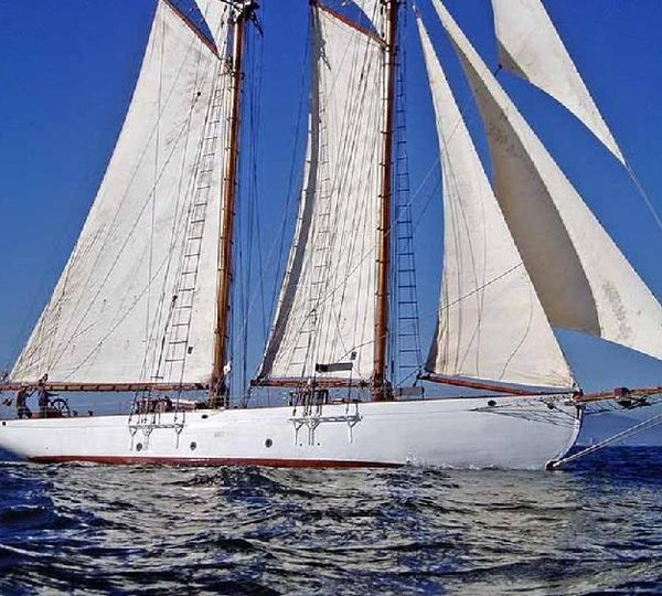 CORAL OF COWES -  Profile