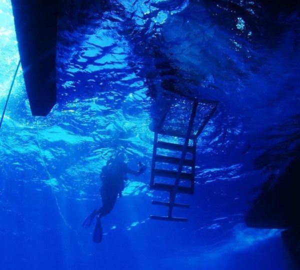 CUAN LAW - Scuba view