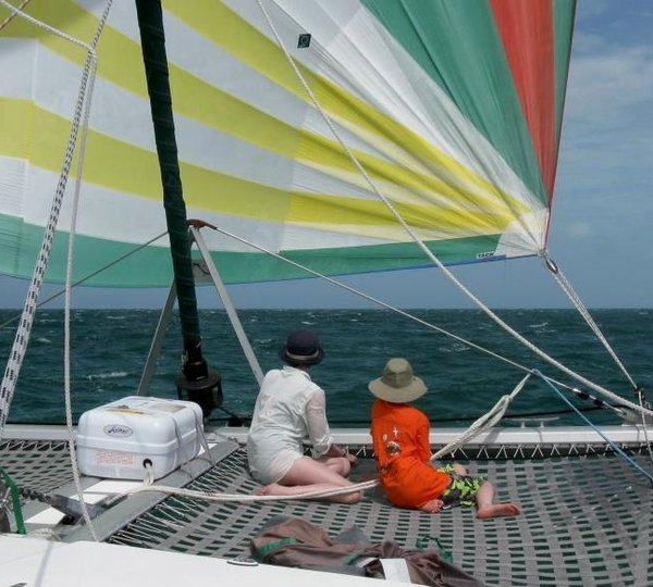 Cat AMAZING GRACE -  Relaxing on the Trampolines