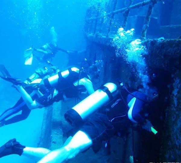 Cat FANTASY ISLAND -  Diving