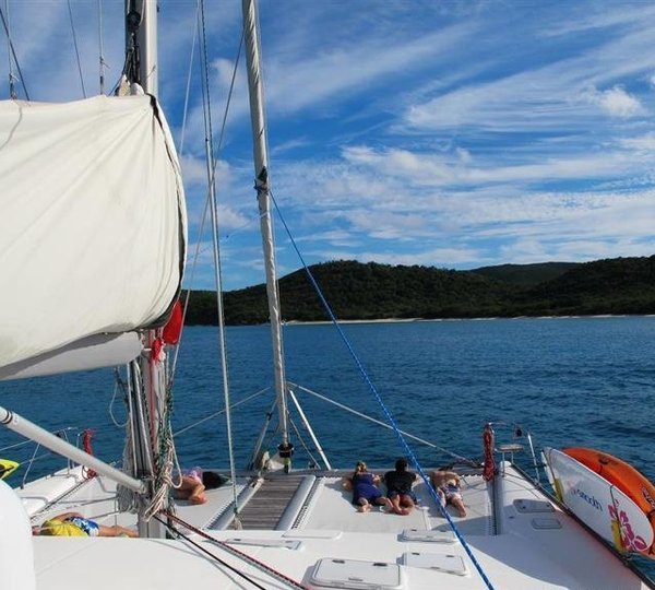 Cat FANTASY ISLAND -  Looking forward