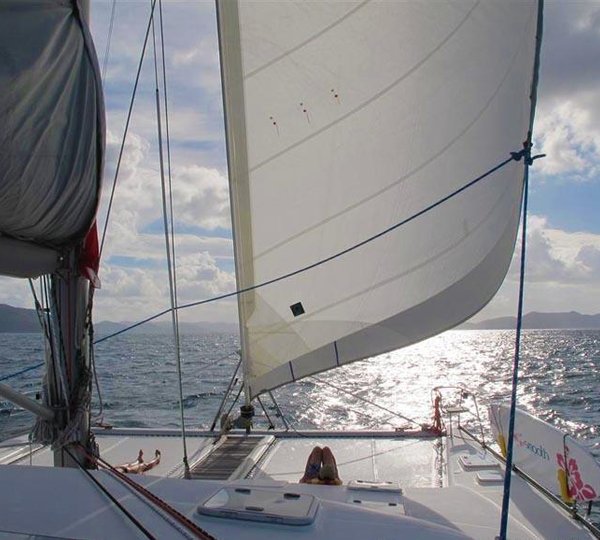 Cat FANTASY ISLAND -  Relaxing on charter