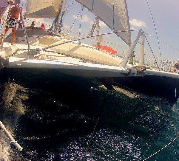 Cat FELICIA -  Cruising