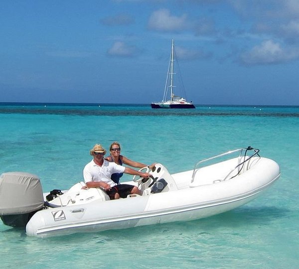 Cat FELICIA -  Tender