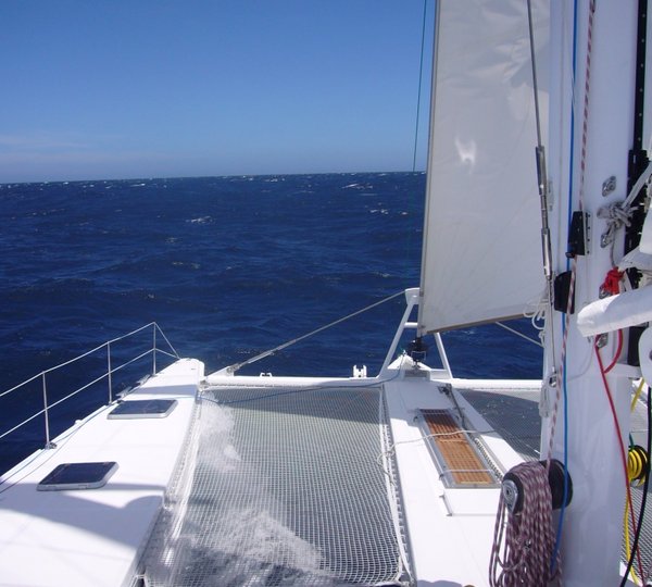 Cat MALISI - Looking forward at Trampolines