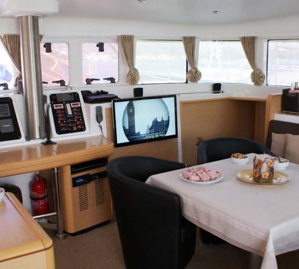 Cat MOONLIGHT -  Salon