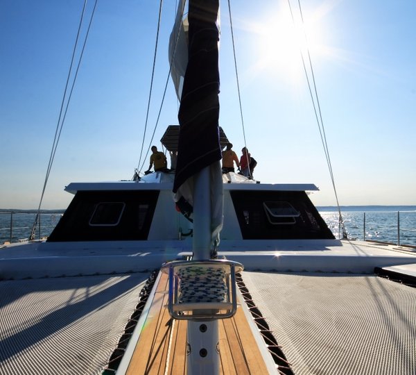 Cat ZAHORA -  Looking back