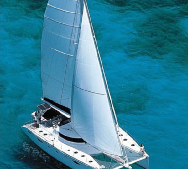 Catamaran WHALE - 001