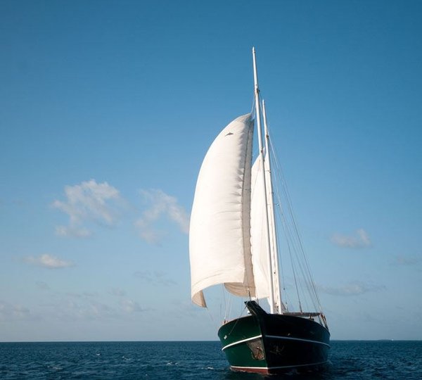 DREAM VOYAGER -  Bow