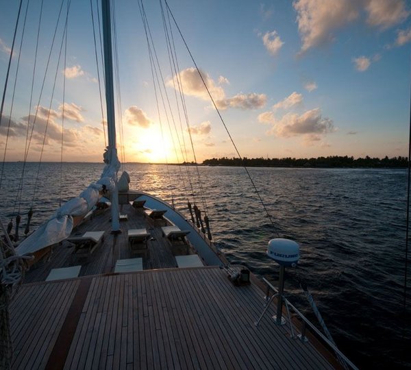 DREAM VOYAGER - Looking Forward