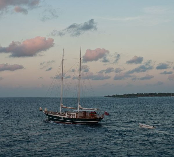 DREAM VOYAGER -  Motoring