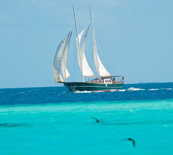 DREAM VOYAGER -  On Charter